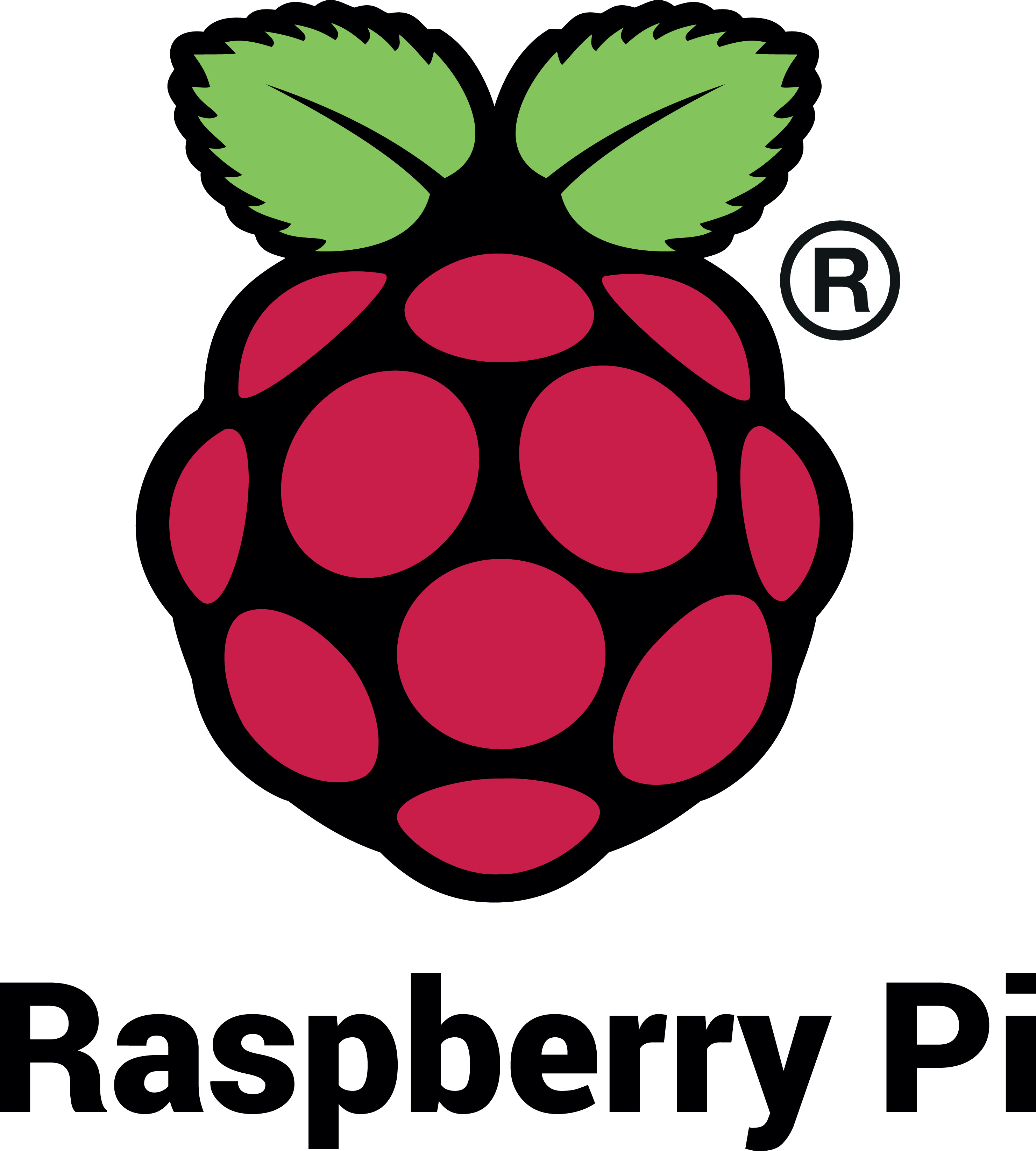 Raspberry Logo