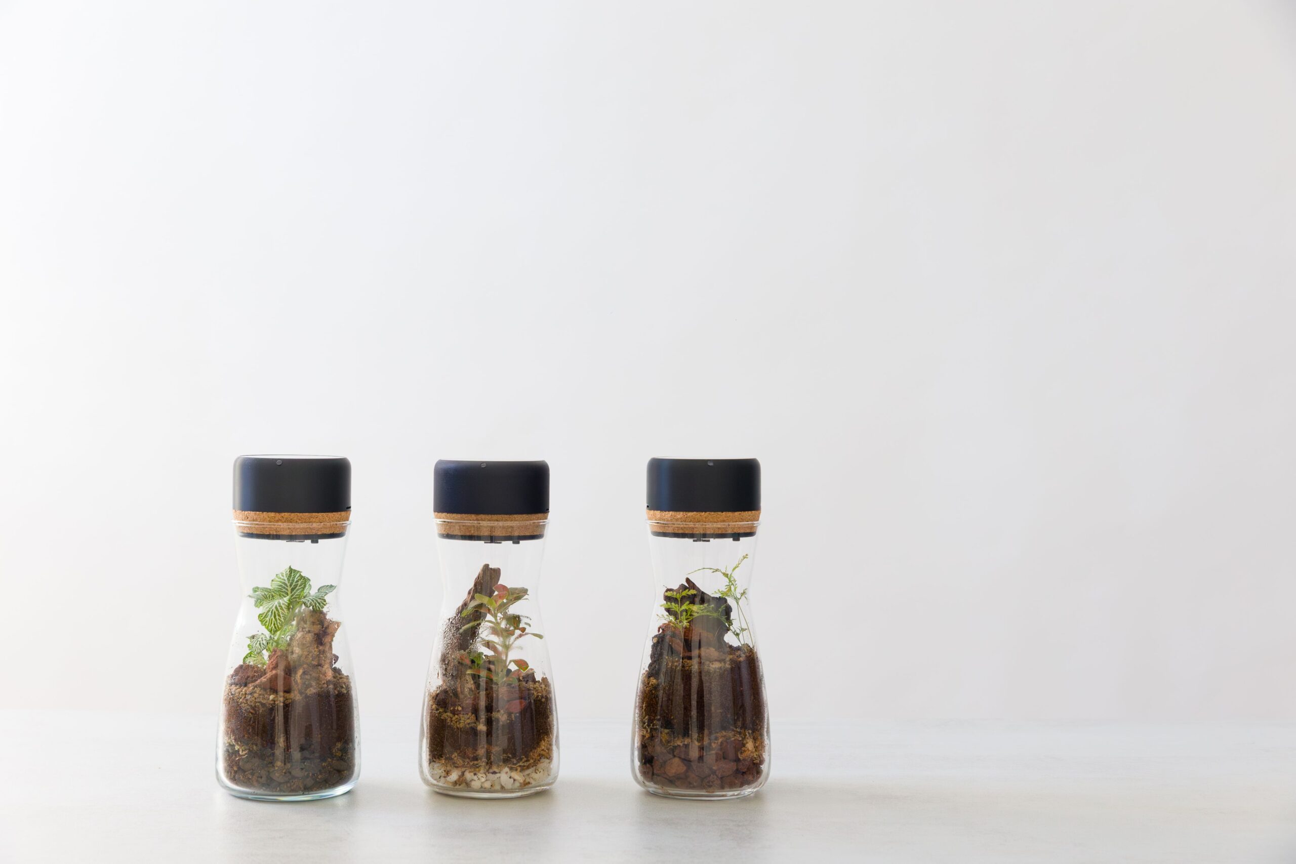 Dot, the evolution of the cork for bottle terrariums